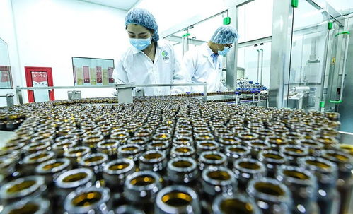 科技賦能植物工廠 張掖農特產品提質增效的新引擎